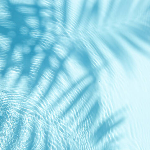 Complexe de préparation dédié à la Haute Performance Sportive - photo 1